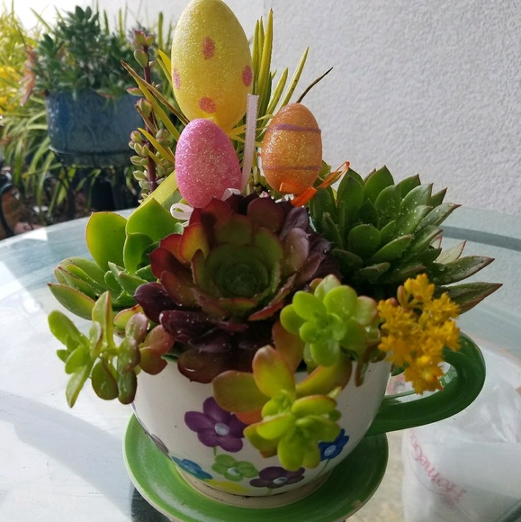 Meet your Posher, Manilyn - Picture 1 of 1